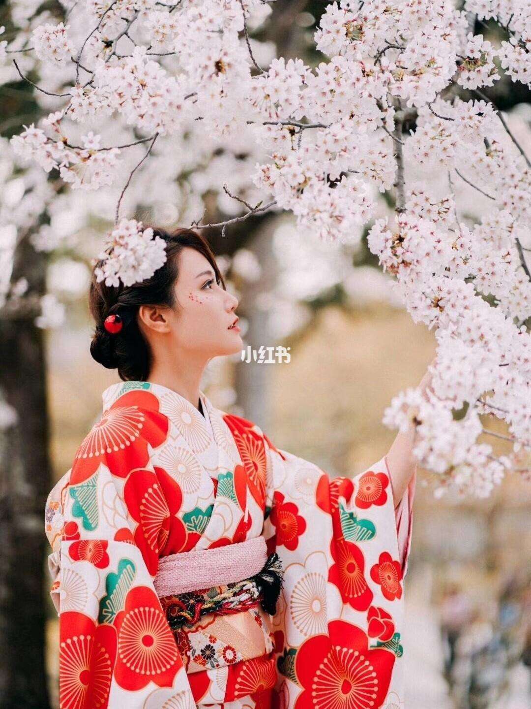 樱花樱花想见你歌词